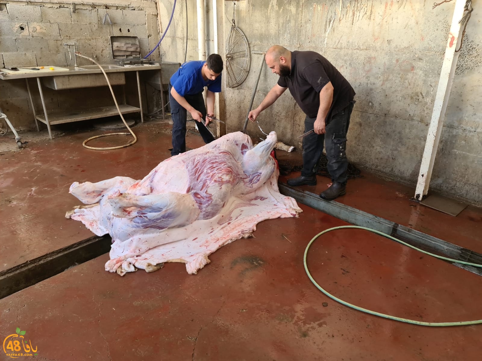 WhatsApp Image 2021-02-02 at 2.12.03 PM (1).jpeg